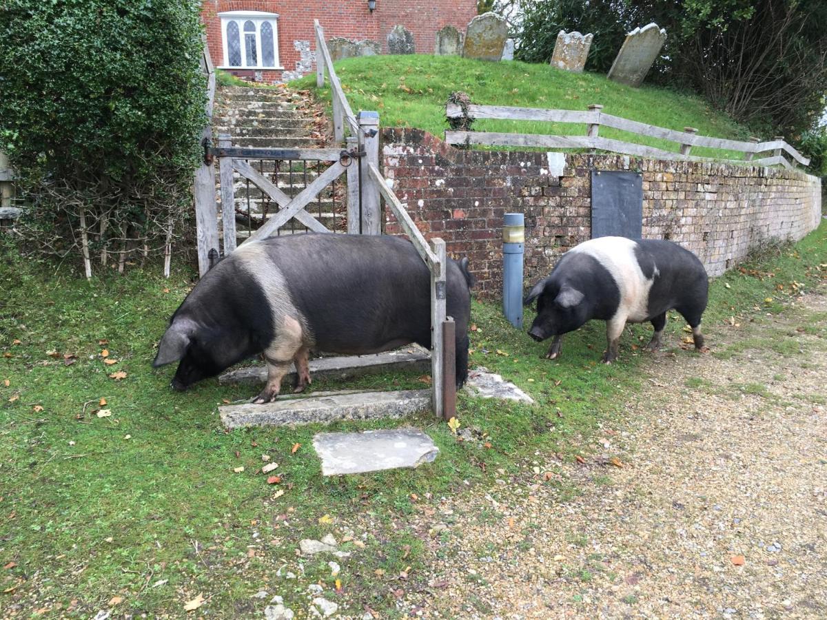 No 64 Bed And Breakfast Lymington Extérieur photo